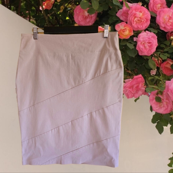 Perfect Pencil Skirt by REKUCCI Eye-catching Panels Flattering Comfort Stretch - Picture 2 of 3